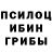 Псилоцибиновые грибы Psilocybe Bai kasim