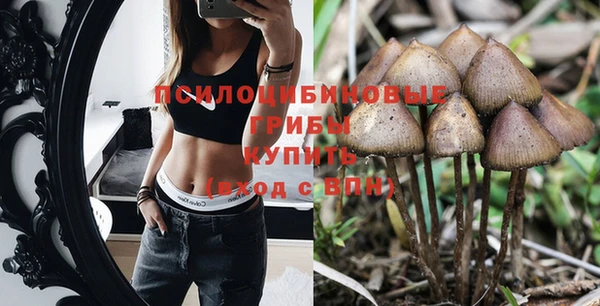 молекула духа Навашино