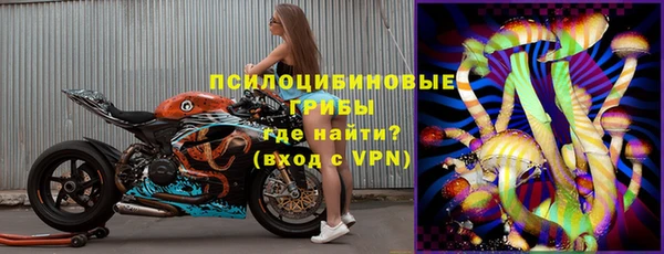молекула духа Навашино