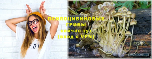 молекула духа Навашино