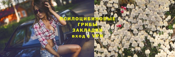 соль ск Надым