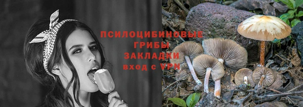 молекула духа Навашино