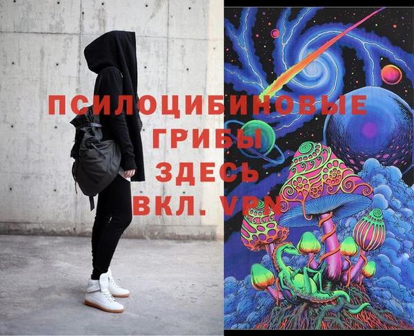 соль ск Надым