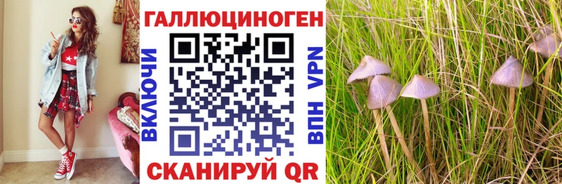 Галлюциногенные грибы мухоморы Алейск